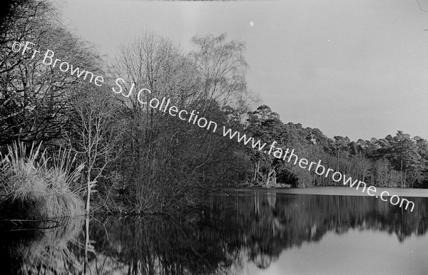 AROUND THE LAKE FROM N.LOOKING ALONG 